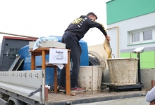 TRŽNICA PAKRAC Svježi šaran u prodaji do Božića