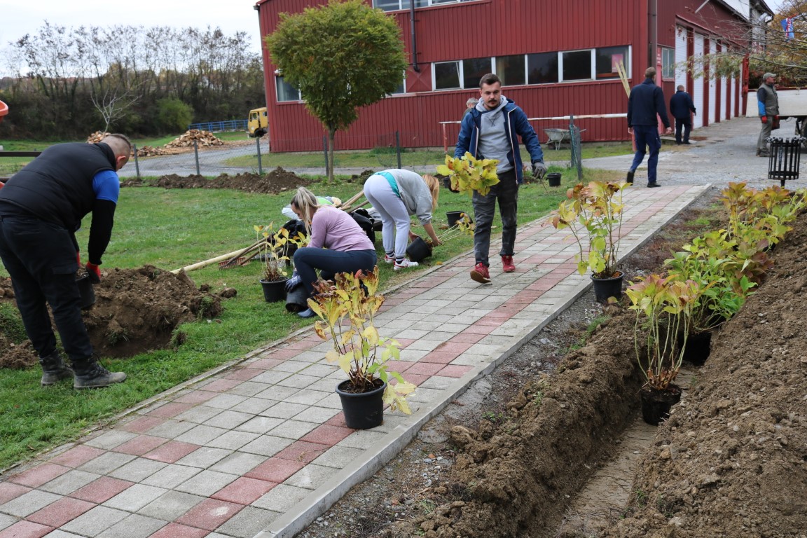 SAVJET MLADIH GRADA PAKRACA Mladi u akciji ozelenjivanja grada