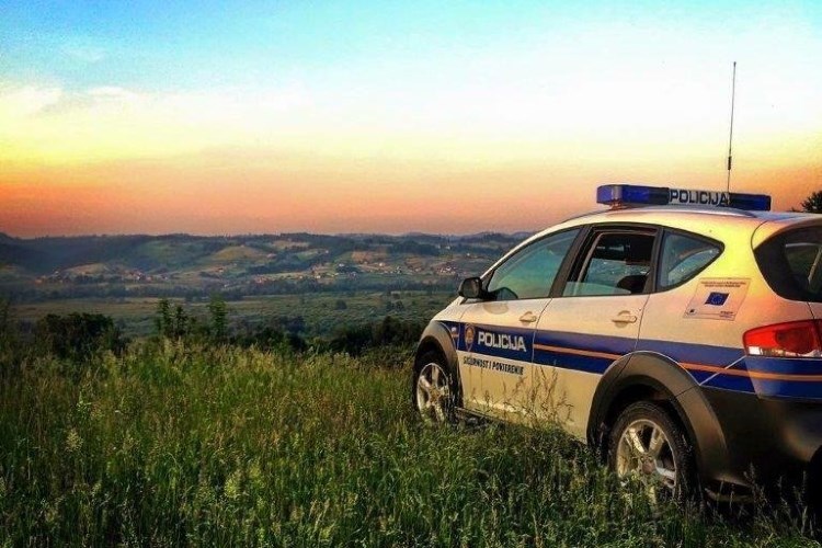 Nadzor granica