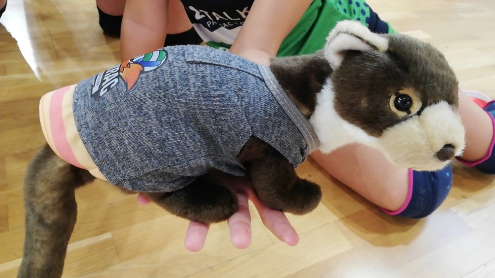 IMG-1402e6fc6b09d9635f684bd9679b3ccf-V