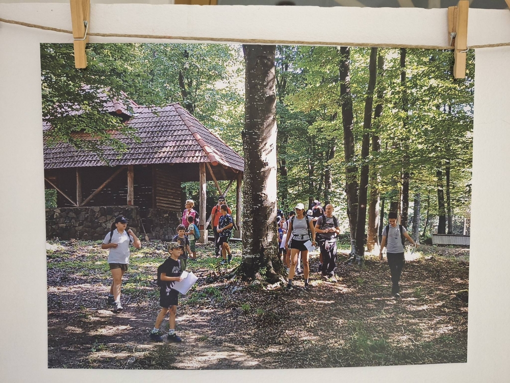 595110808258953387834052125552957080826022243n