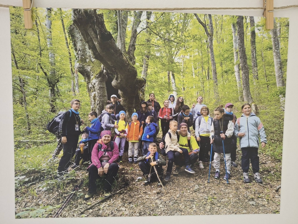 595114366258953382567385985115732968730025302n