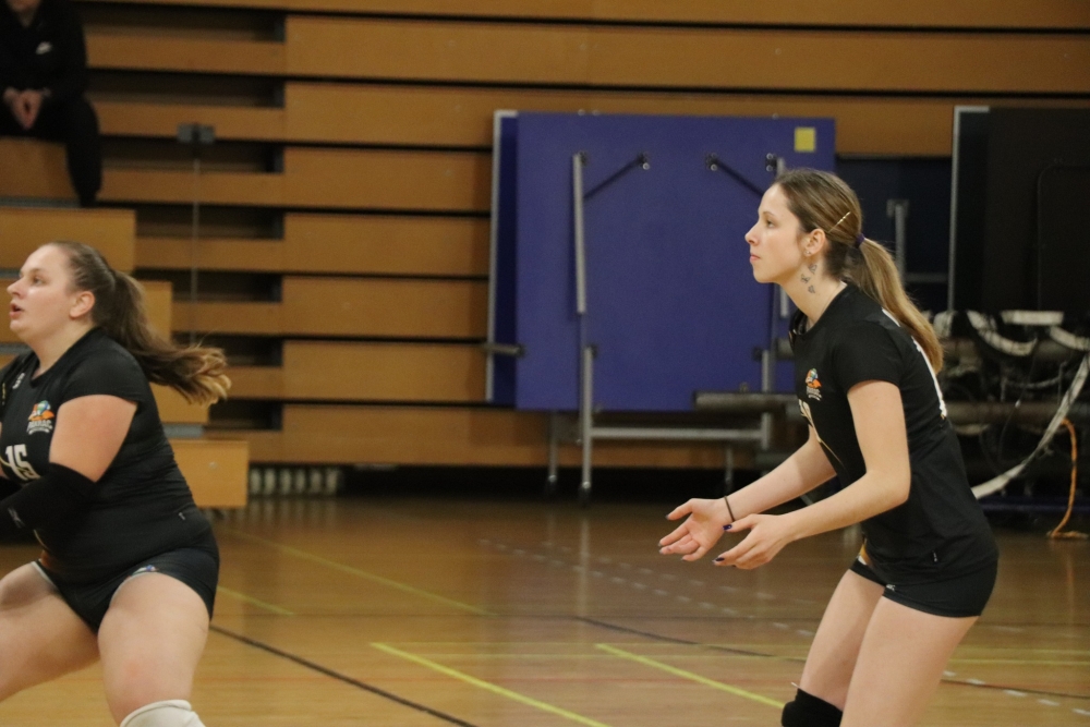 595666130259185350877522483197908778312767147n