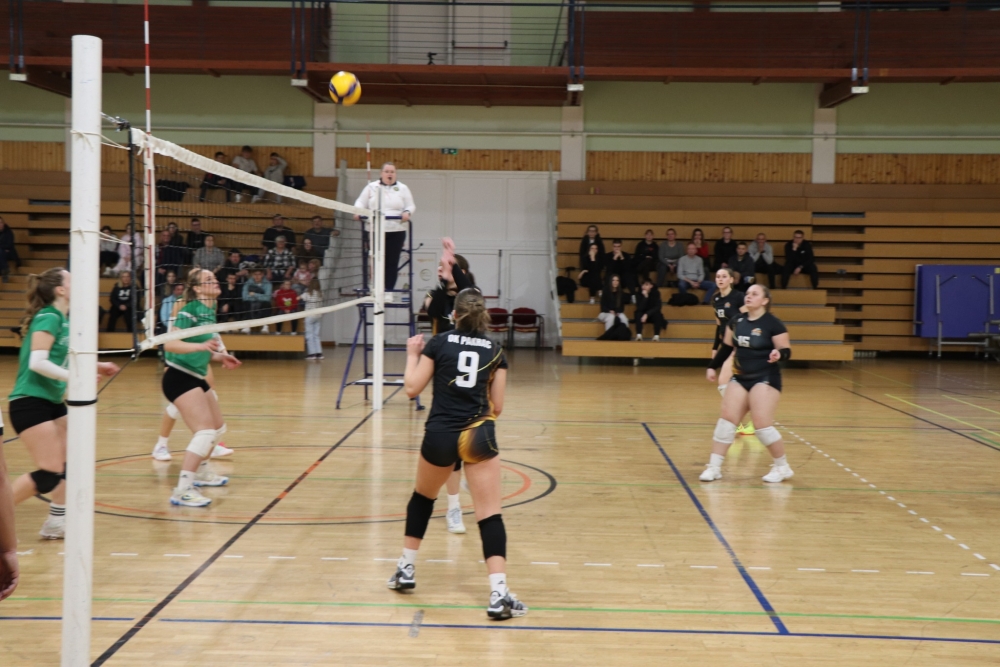 597477206259185342910856615953546351470246281n