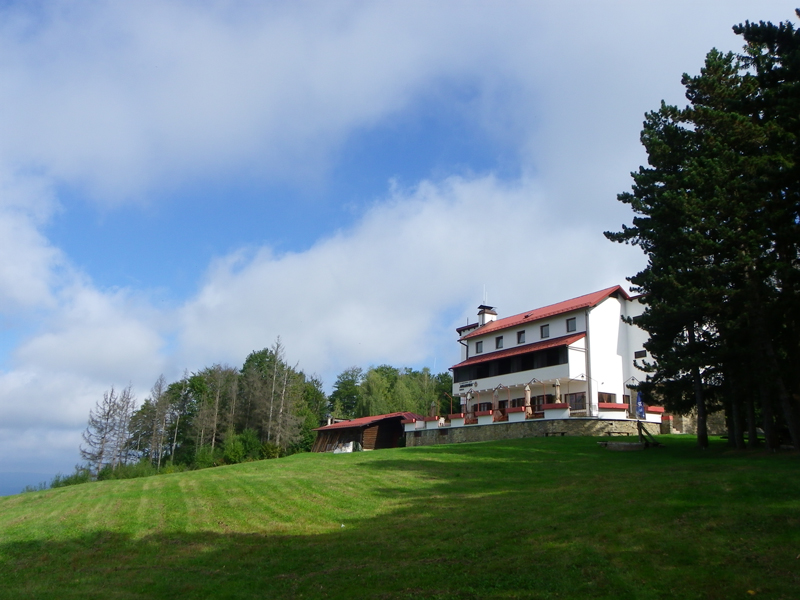 omanovac1