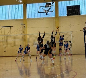 ok pkc ok v. gorica