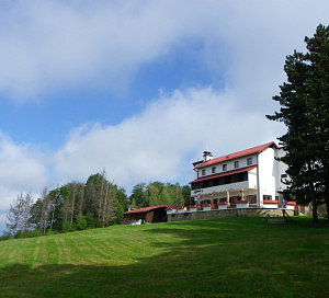 omanovac1