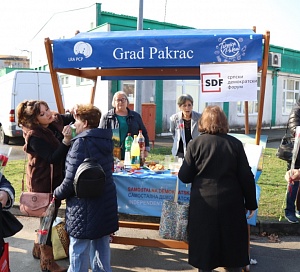 648187851 1584460177018299 3324264895936031259 n Custom