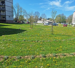 mirisni labirint ocuvan