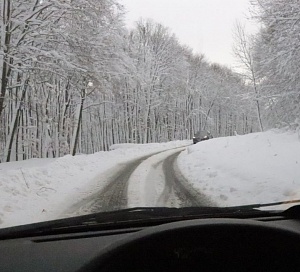 611361233 1531234732340844 1275677651606453243 nslikapkcsnijeg