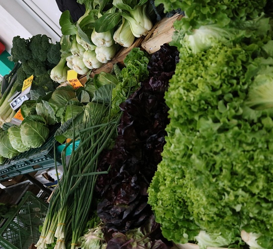 599673194 1517061333758184 7279218627798677728 n