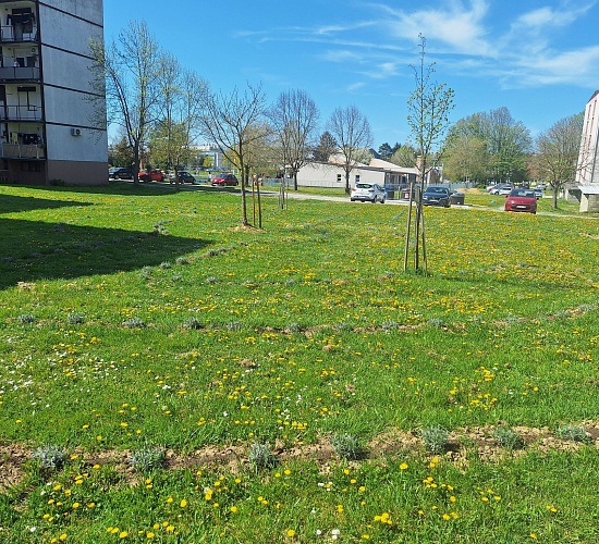 mirisni labirint ocuvan