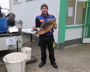 TRŽNICA PAKRAC Prodaja šarana (Ribnjačarstvo Končanica) 30. listopada