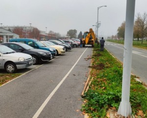 TZ GRADA PAKRACA Sudjelovanje u projektu „Hrvatska prirodno tvoja“ kroz sadnju novih stabala