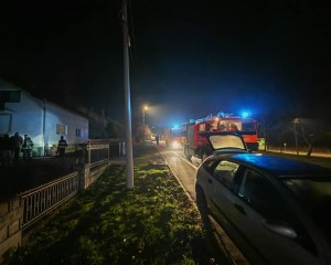 POŽAR U ALEJI KESTENOVA Brza reakcija vatrogasaca spriječila veću tragediju