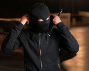 IZ POLICIJSKOG IZVJEŠĆA Krađa u trgovini, narušavanje javnog reda i mira 