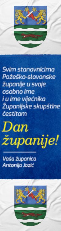 Požeško-slavonska županija